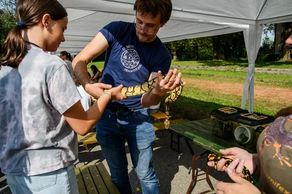Festival Povezujemo Štepanjsko 2025