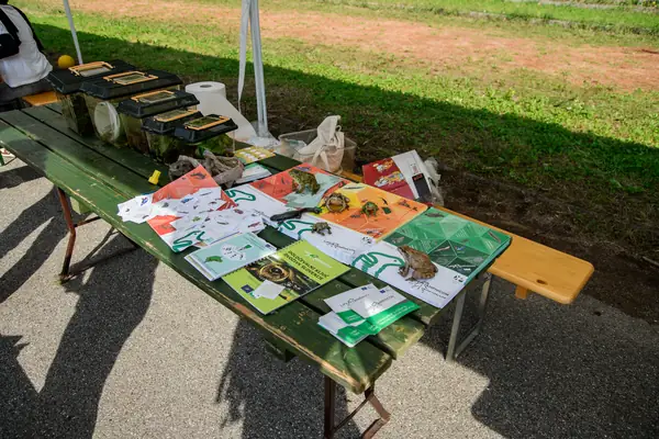 Festival Povezujemo Štepanjsko 2025