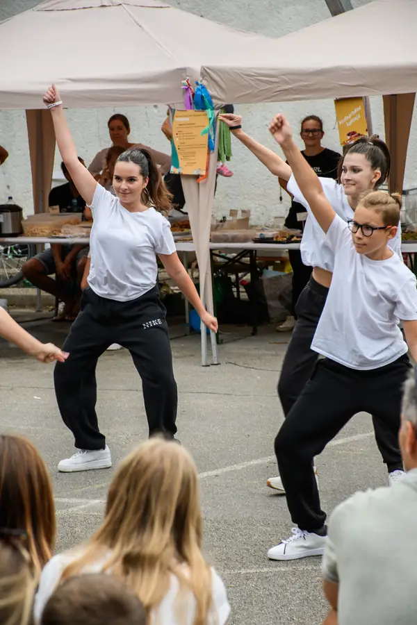 Festival Povezujemo Štepanjsko 2025