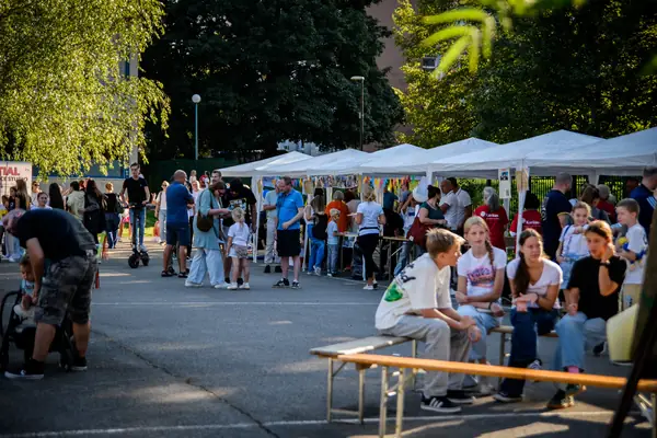 Festival Povezujemo Štepanjsko 2026