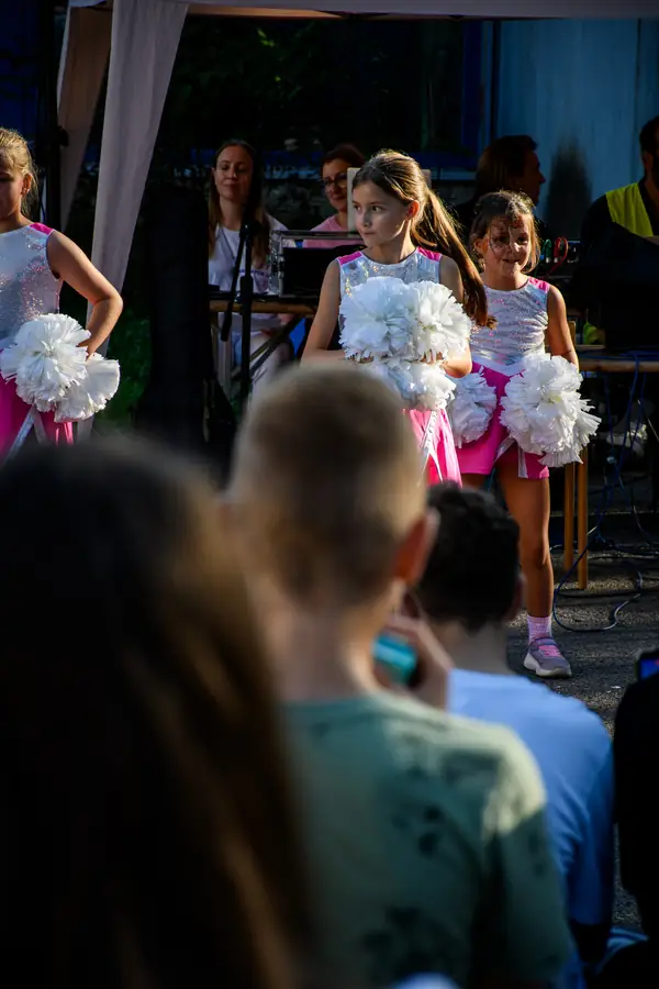 Festival Povezujemo Štepanjsko 2026