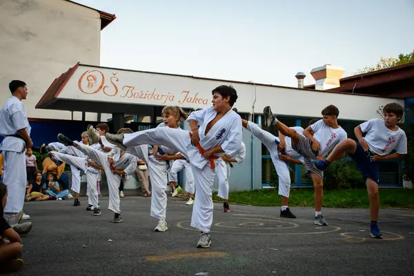 Festival Povezujemo Štepanjsko 2026