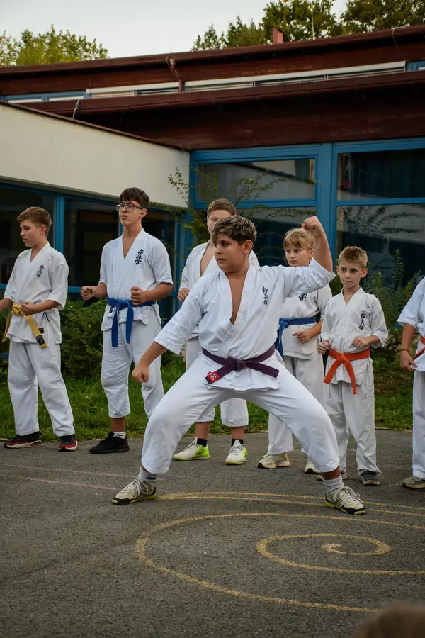 Festival Povezujemo Štepanjsko 2026